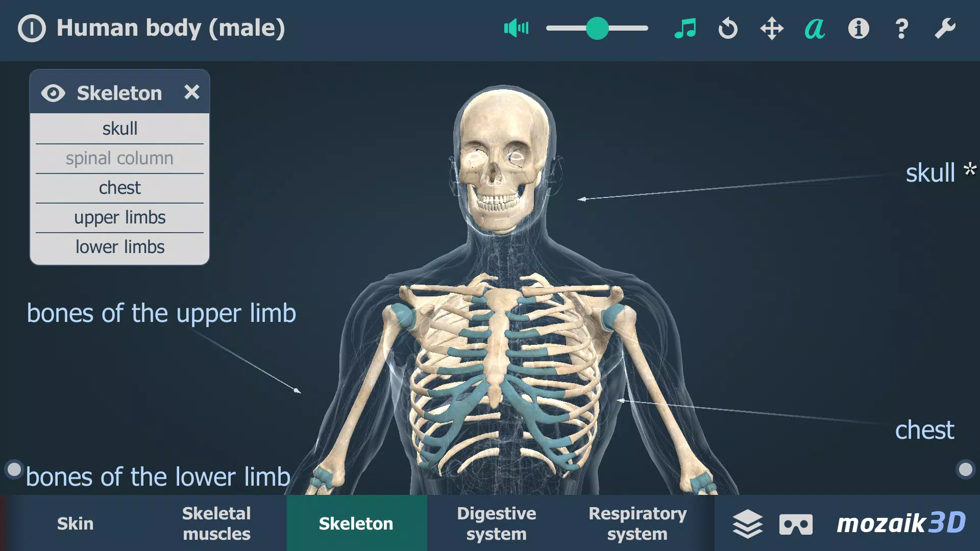 Human body (male) 3D scene экрана 3