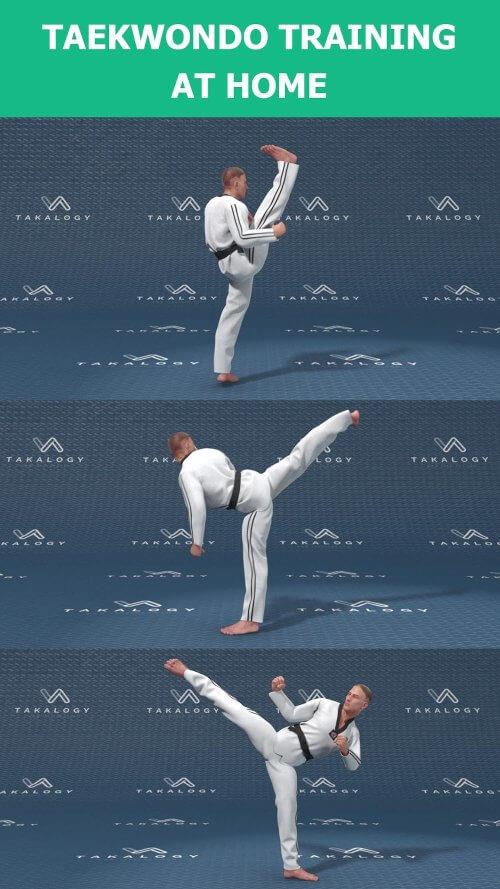 Mastering Taekwondo at Home screenshot 2