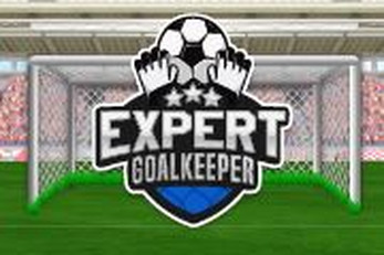 Expert goalkeeper 2022スクリーンショット1