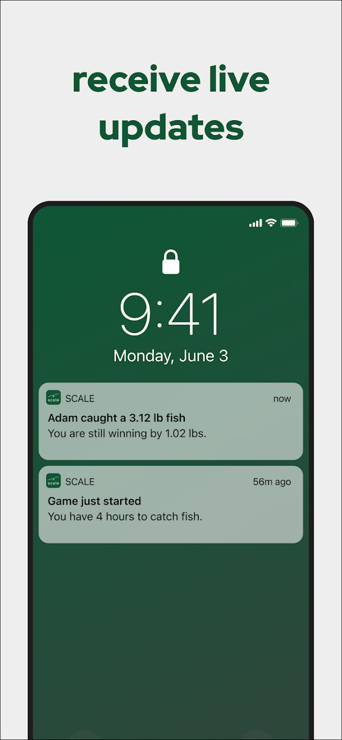 scale - fishing challenges Screenshot 3