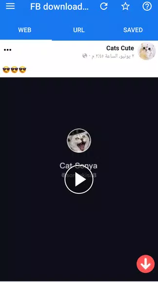 Facvid: Reels video downloader Screenshot 1