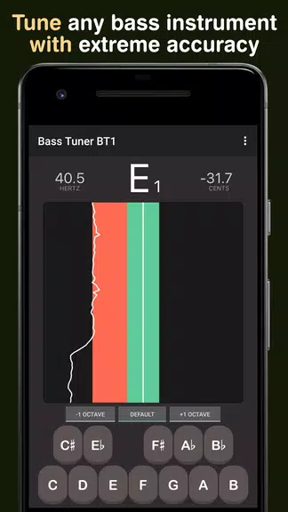 Screenshot Bass Tuner BT1 1