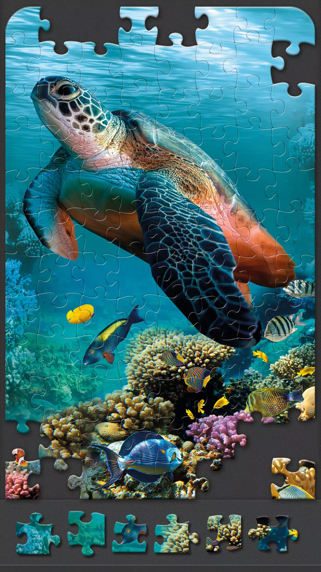 Jigsaw Puzzles for Adults Screenshot 1