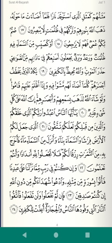 Read Listen Quran  قرآن كريم Screenshot 2