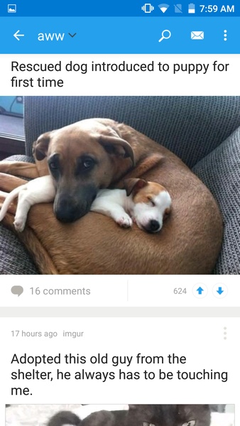 ภาพหน้าจอ Reddit Official App 4