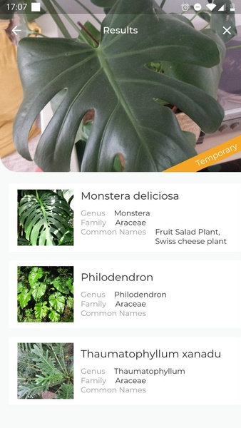 LeafSnap Plant Identification Screenshot 3