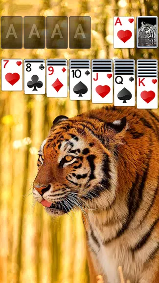 Solitaire Tiger Theme屏幕截圖1
