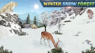 Wild Animal Hunting Games Capture d’écran3