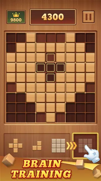 Wood Block 99 - Sudoku Puzzle Capture d’écran2