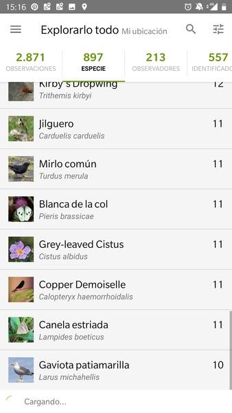 Screenshot iNaturalist 1