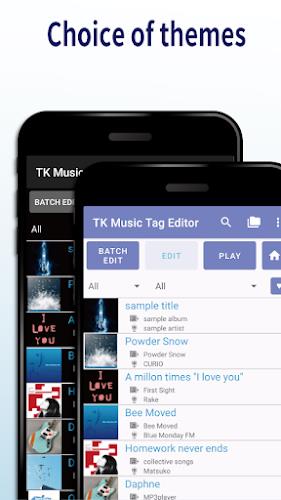 TK Music Tag Editor экрана 3