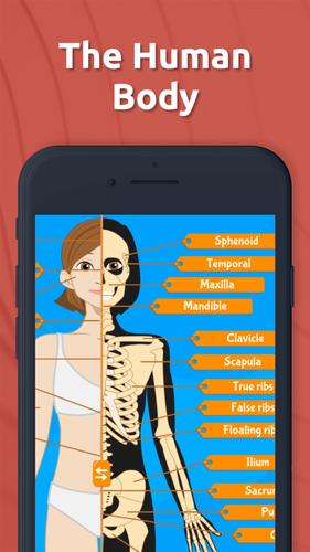 Human Anatomy - Body parts 스크린 샷 1