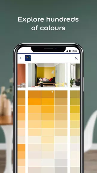 Dulux Visualizer ZA स्क्रीनशॉट 2