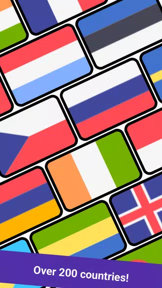 Geomi — Flags & Countries屏幕截圖2