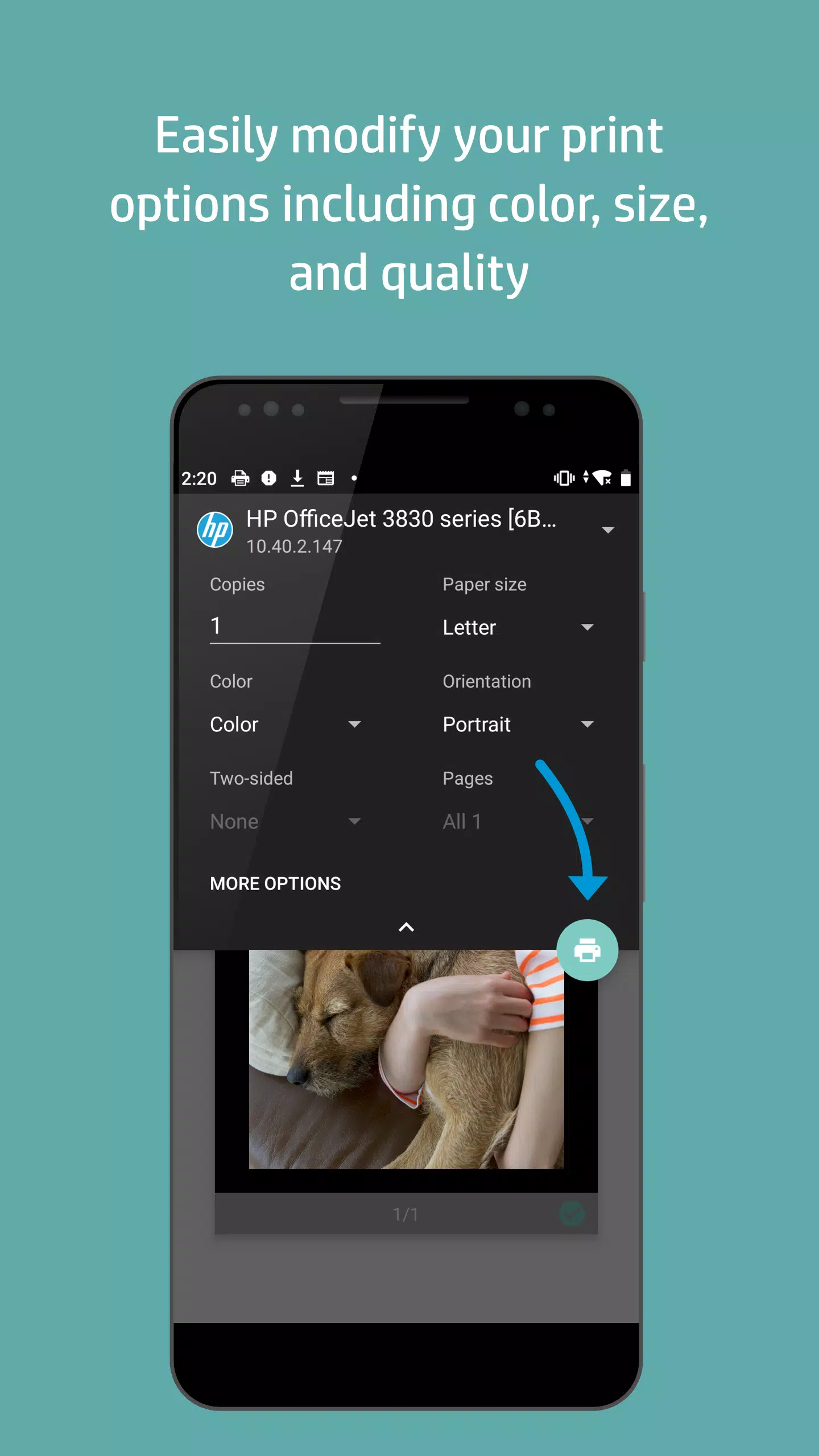 HP Druckdienst-Plug-In Screenshot 4