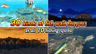 Excite BigFishing Ⅲスクリーンショット4