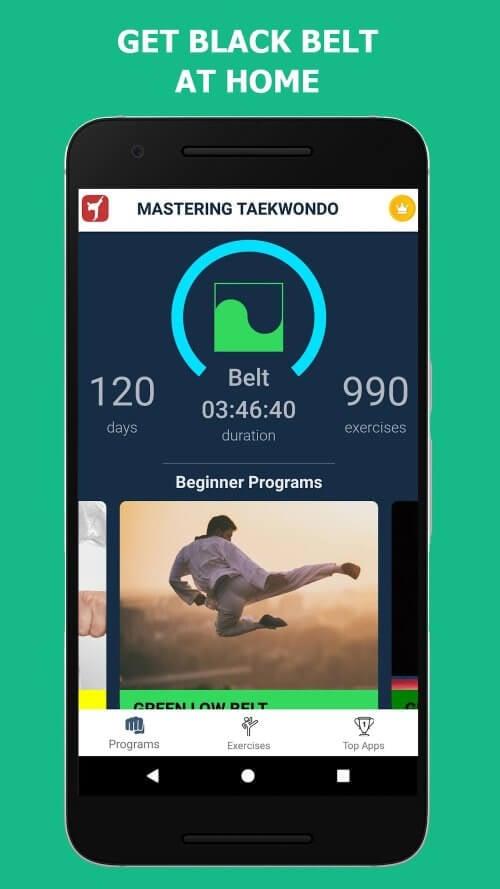 Mastering Taekwondo at Home 스크린 샷 3