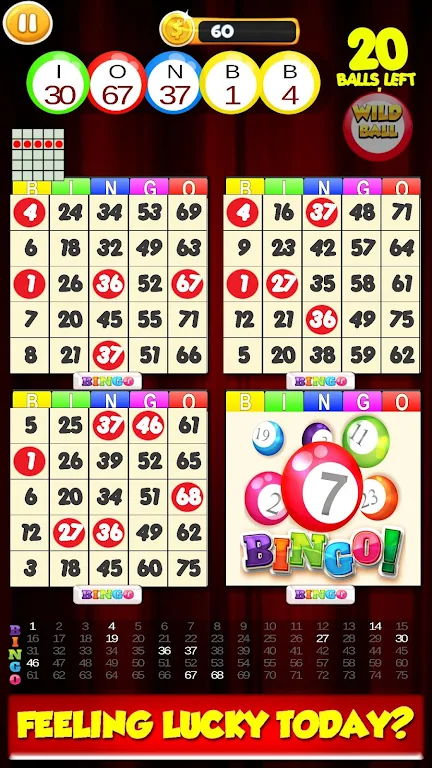 New Bingo Cards Game Free 스크린 샷 1