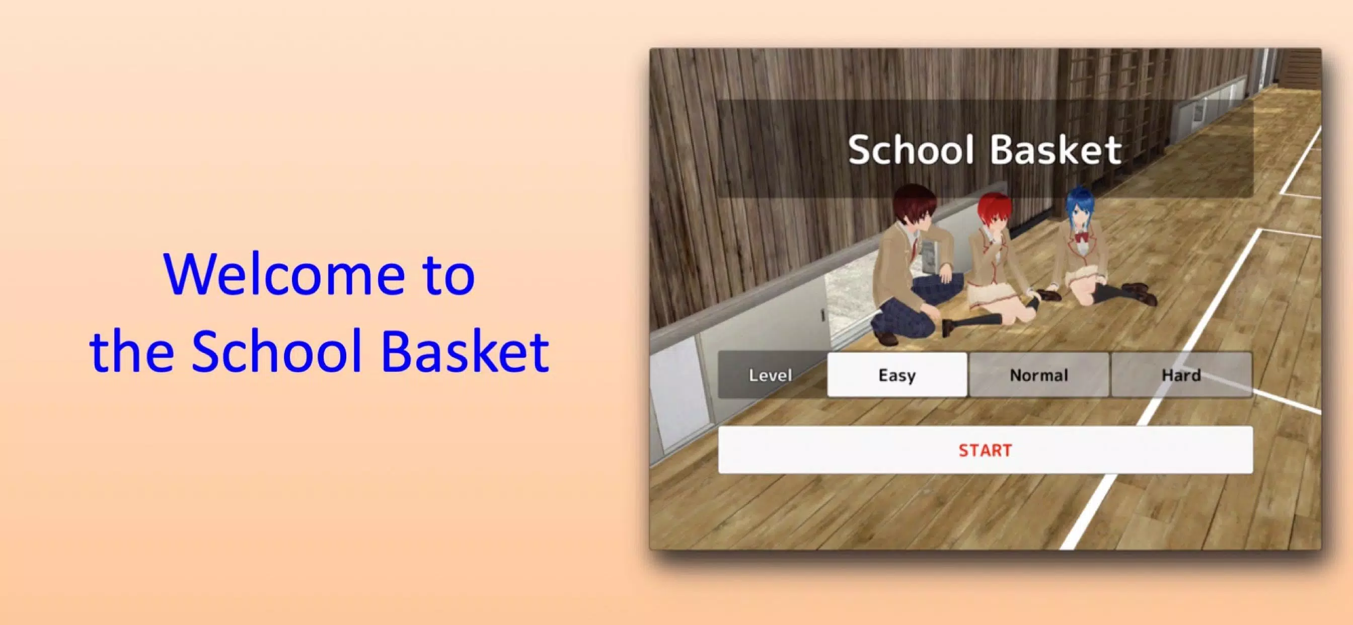 School Basket স্ক্রিনশট 1