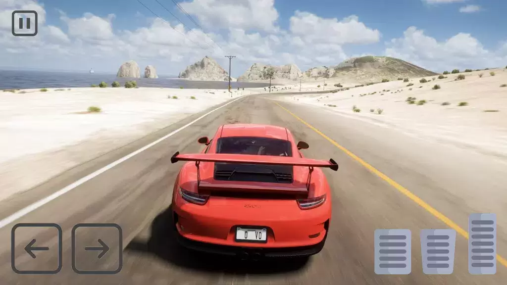 Racing Porsche Carrera 911 GT3 Capture d’écran2