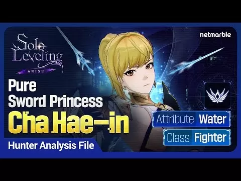 Solo Leveling: Arise One-Year Anniversary