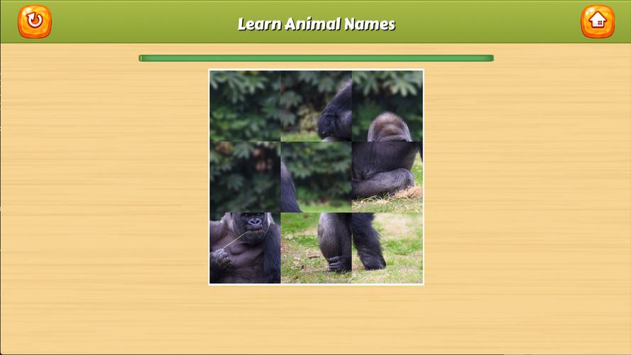 Learn Animal Names Capture d’écran4