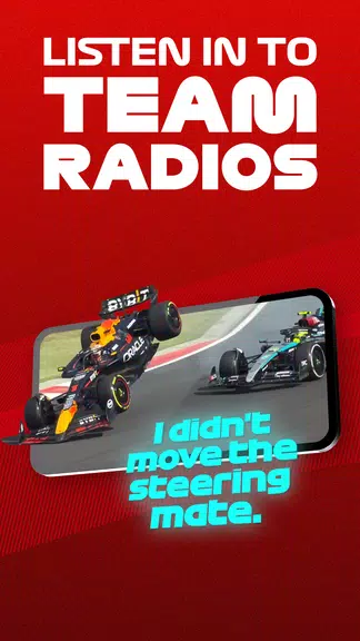 F1 TVスクリーンショット3