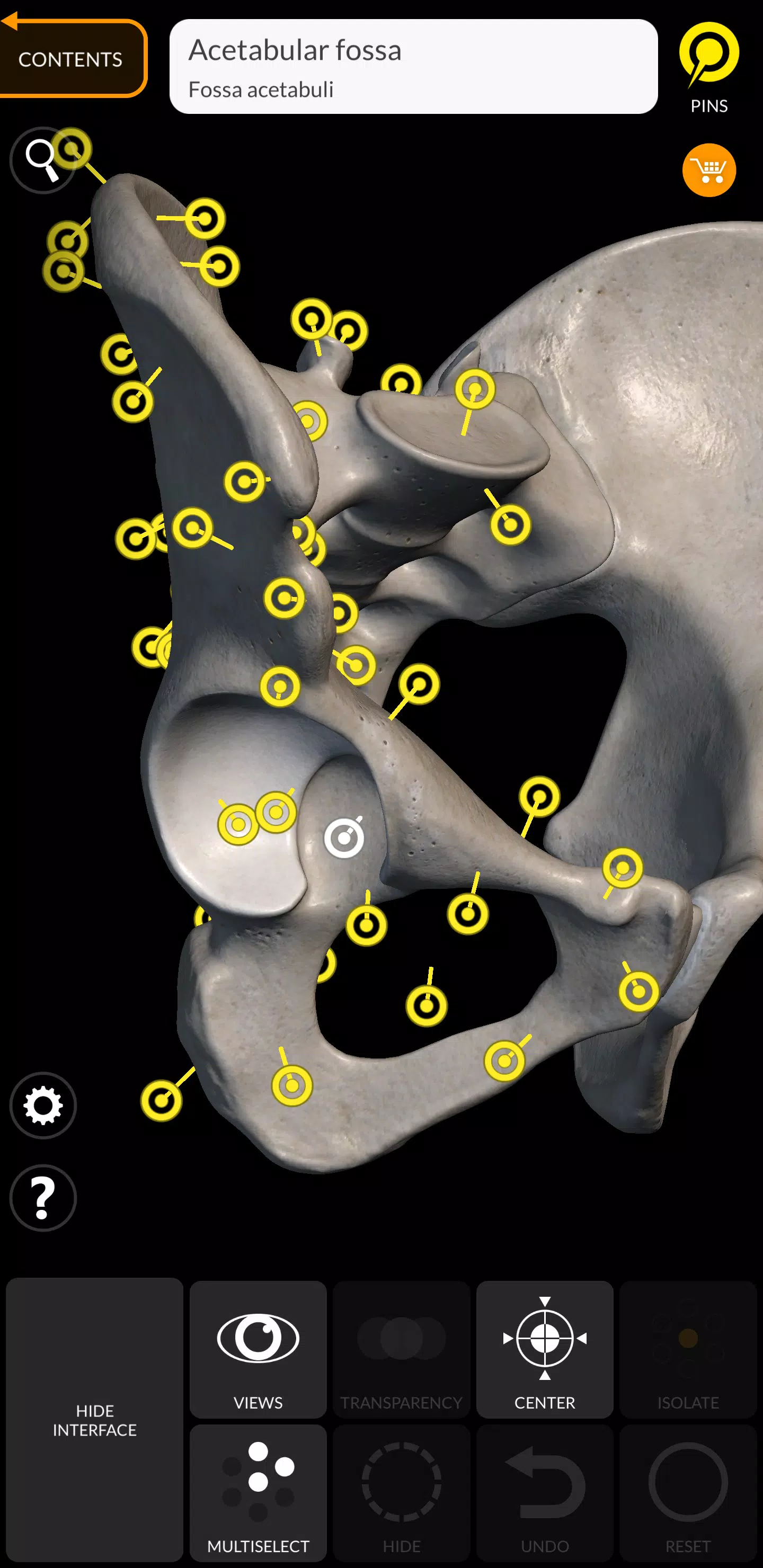 Skeleton ảnh chụp màn hình 2