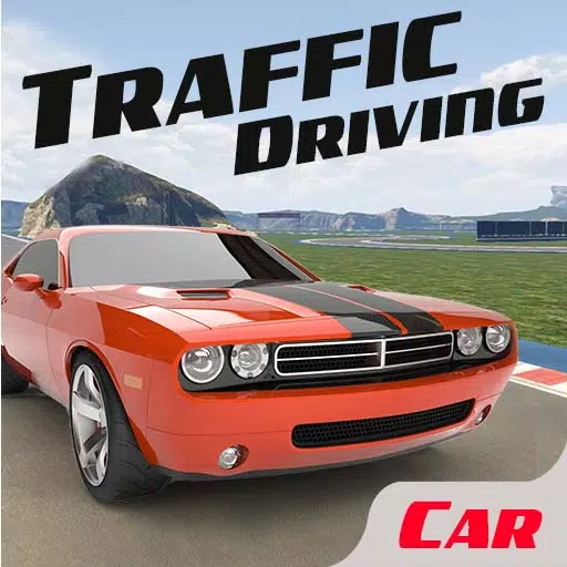 Traffic Car Driving Game