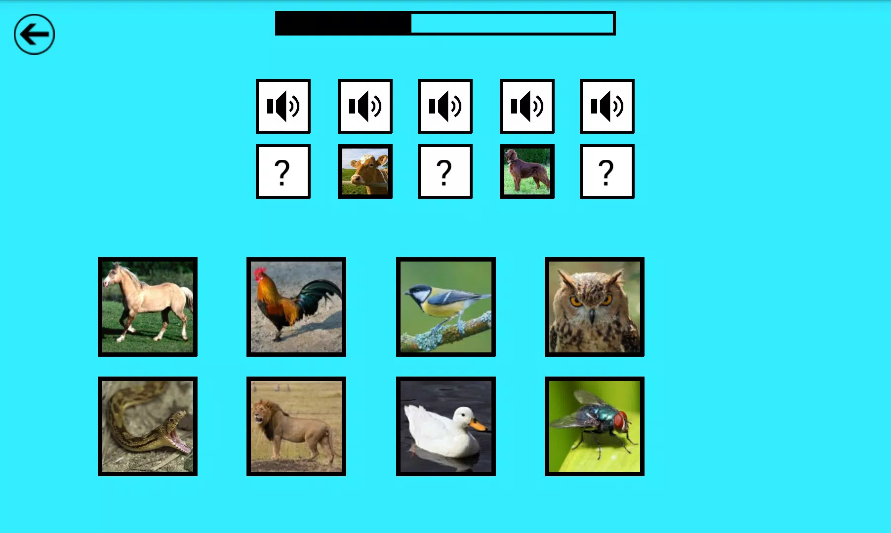 Kids Play & Learn screenshot 3