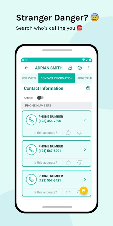 Screenshot PeopleLooker Background Search 3