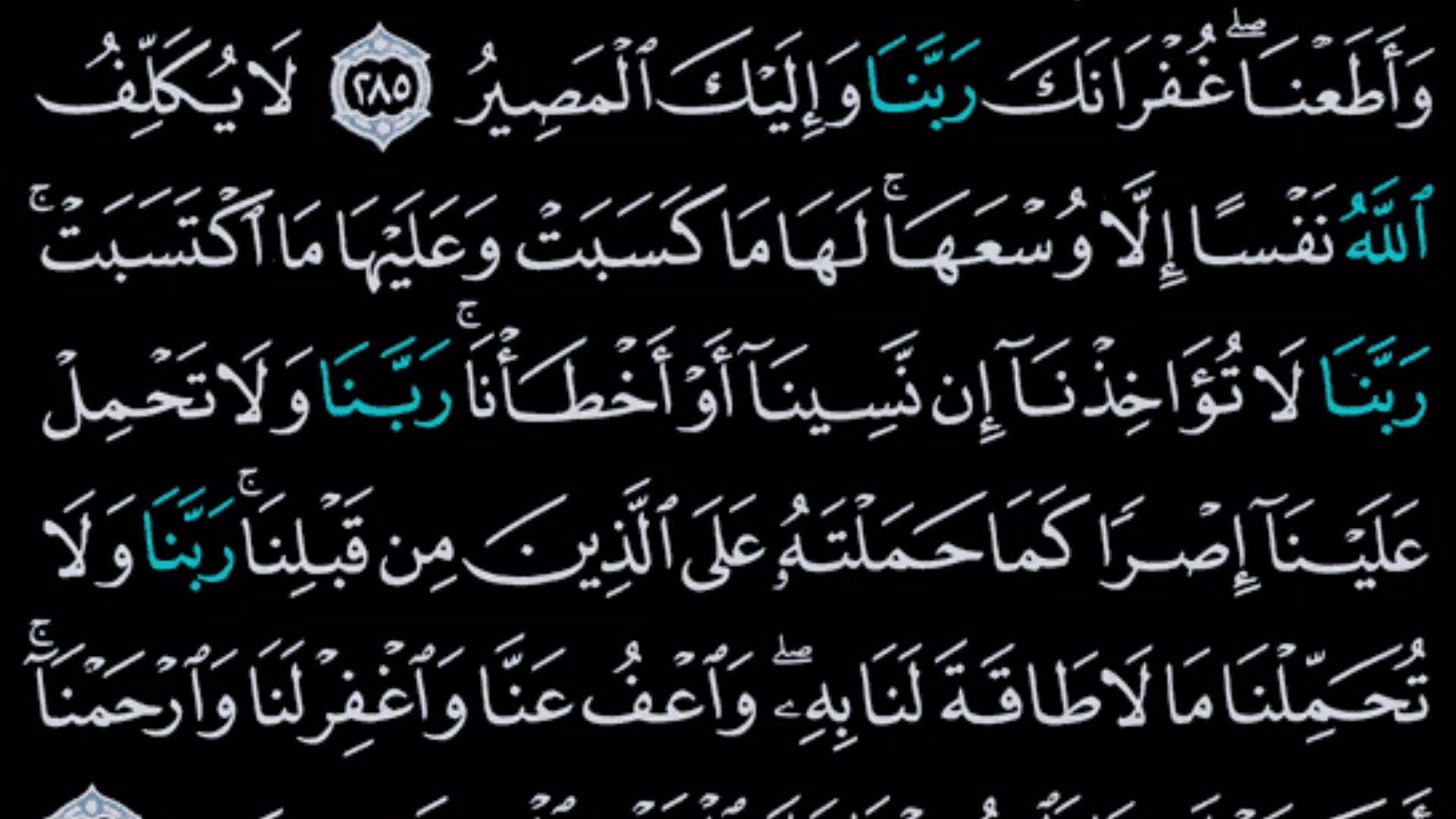 القرآن الكريم screenshot 4