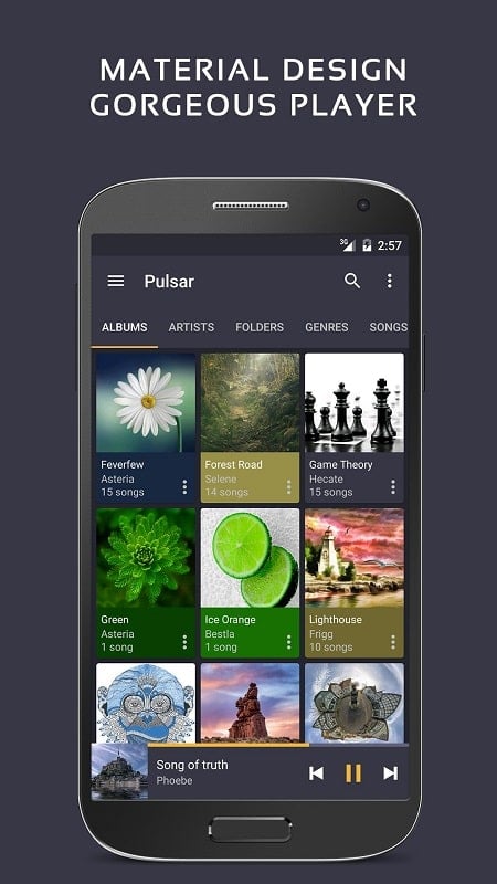 Pulsar Музыкальный плеер экрана 1