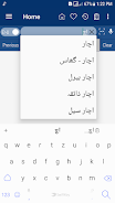 English Urdu Dictionary Screenshot 4