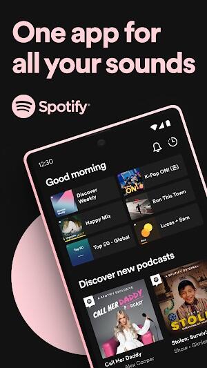 ภาพหน้าจอ Spotify Premium 1