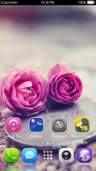 Pink Roses Theme C Launcher ကိုဖန်သားပြင်3