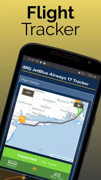 Paris Orly Airport Flight Info screenshot 2