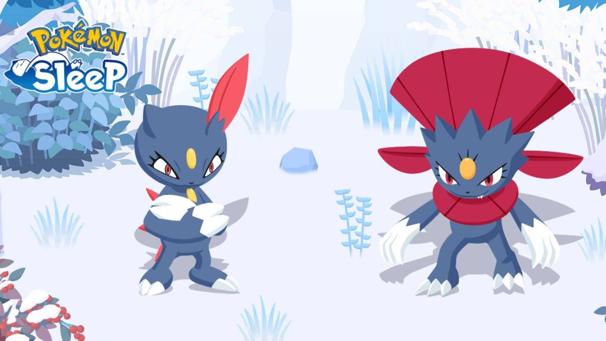 Pagdating ng Sneasel at Weavile's pagdating sa Pokémon Sleep