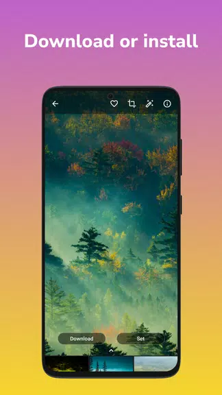 Wallpapers 4K, HD Backgrounds Screenshot 4