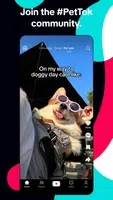 TikTok: Videos, Lives & Musik屏幕截圖4