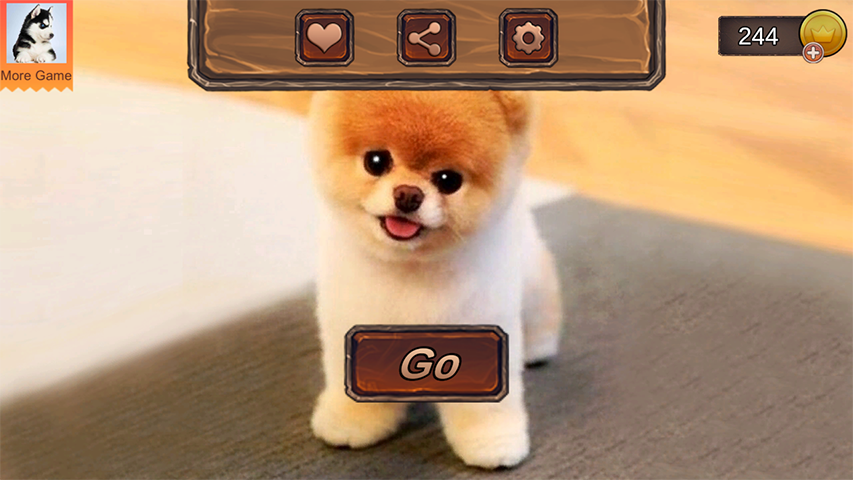 Screenshot Pomeranian Dog Simulator 1