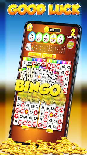 Lucky Bingo: Fun Casino Games屏幕截圖2