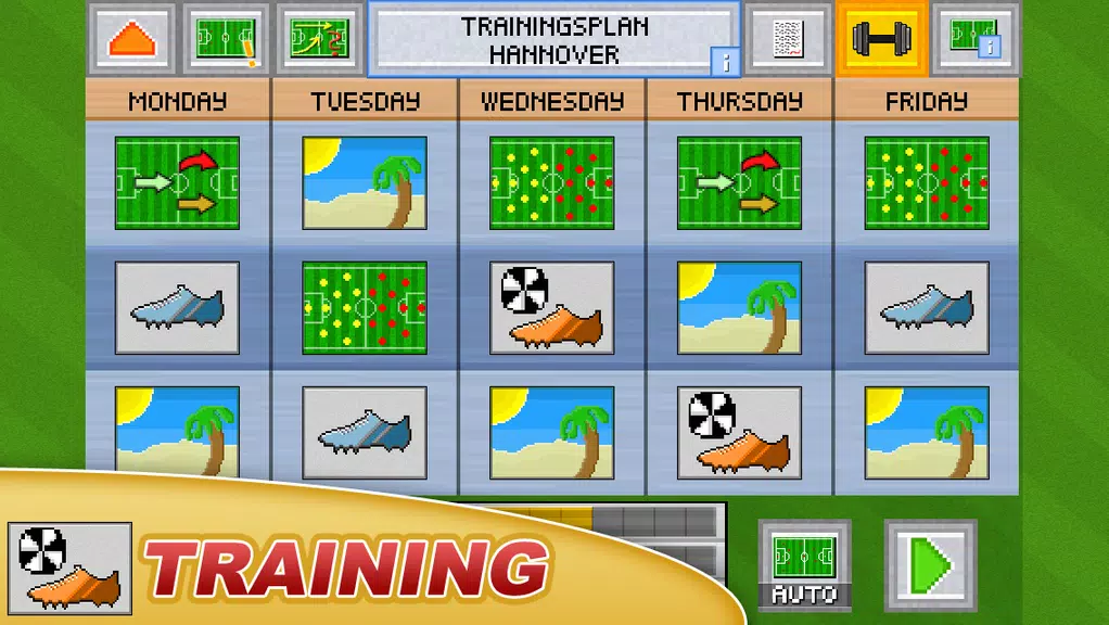 Soccer Pocket Manager屏幕截圖2