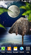 Tropical Night Live Wallpaper zrzut ekranu 2