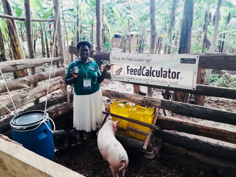 Feed Calculator for livestock ảnh chụp màn hình 2