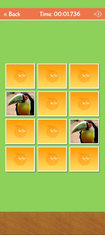 Birds Memory Match Game Screenshot 1