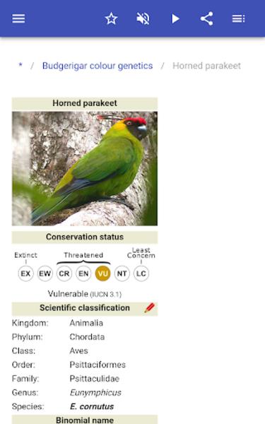 Parrots экрана 3