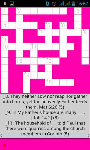 Bible Crossword ကိုဖန်သားပြင်2