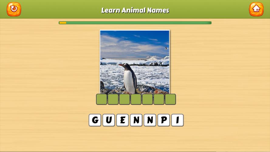 Learn Animal Names Capture d’écran2