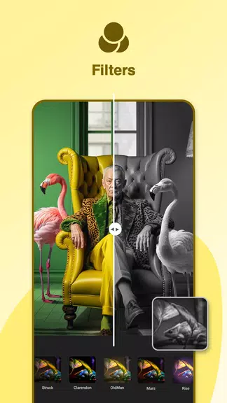 Photo Collage Maker : Gallery screenshot 2